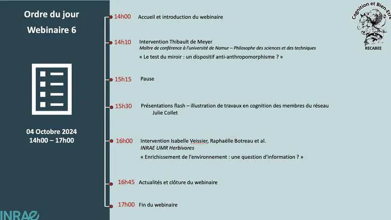 Webinar 6 - "Environmental enrichment"