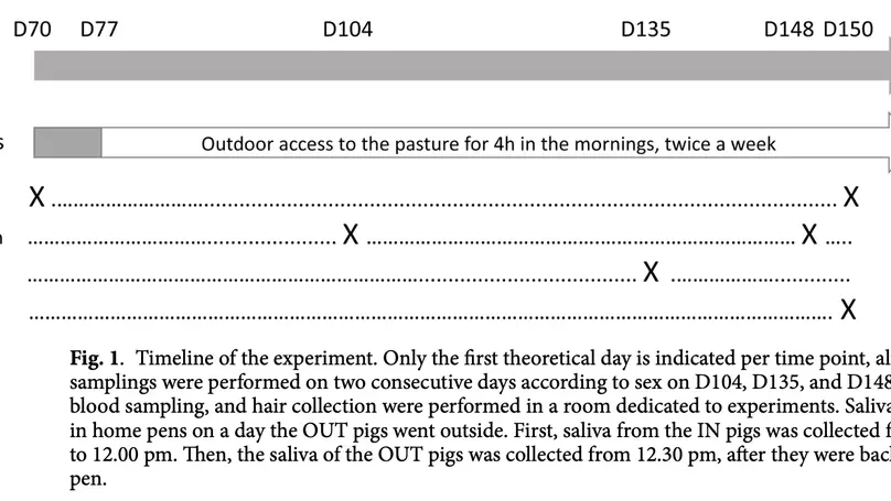 Regular outdoor access decreases stress with positive effects on the health of growing pigs raised on a conventional farm