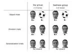 Horses can learn to identify joy and sadness against other basic emotions from human facial expressions