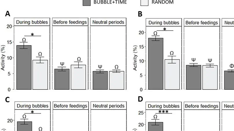 Feeding predictability as a cognitive enrichment protects brain function and physiological status in rainbow trout: a multidisciplinary approach to assess fish welfare