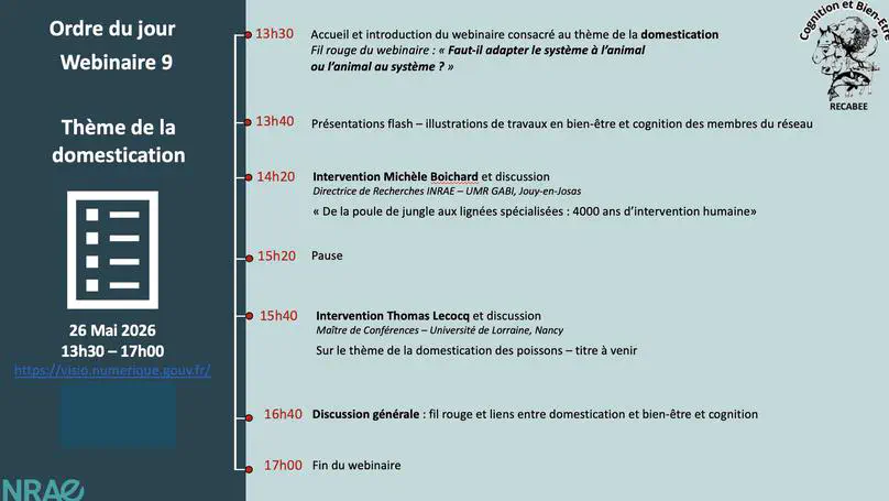 Webinar 9 - "Domestication"